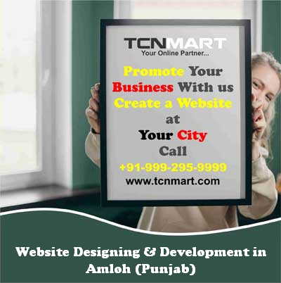 Website Designing in Amloh