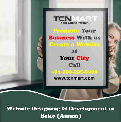 Website Designing in Boko