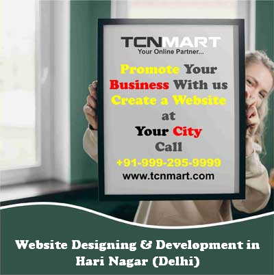 Website Designing in Hari Nagar