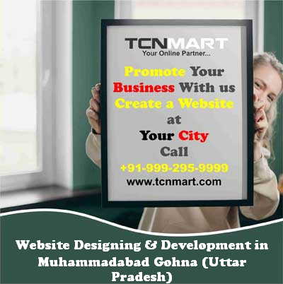 Website Designing in Muhammadabad Gohna