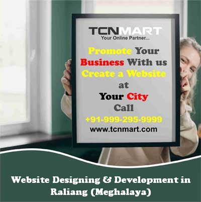 Website Designing in Raliang