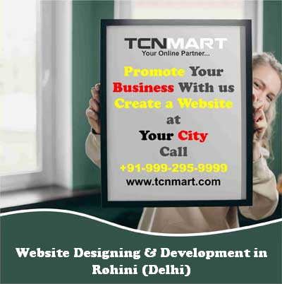 Website Designing in Rohini