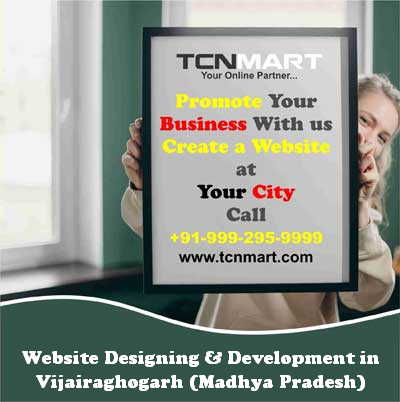 Website Designing in Vijairaghogarh